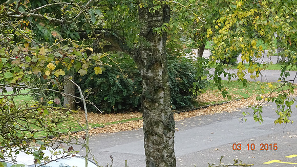 DSC02556